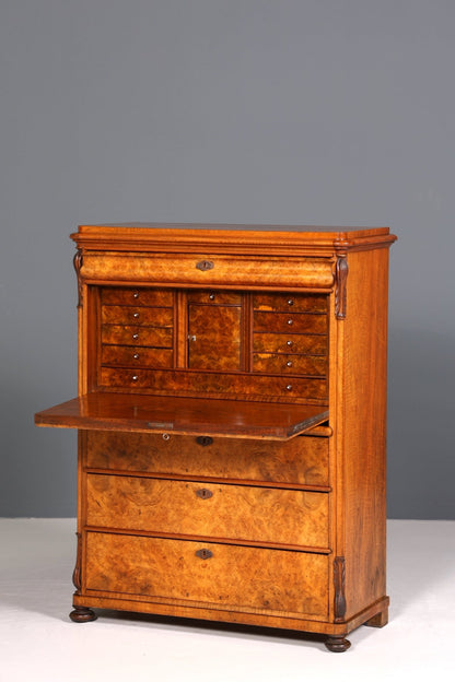 Wunderschöner Louis Philippe Sekretär um 1880 Gründerzeit Antik Schrank Chiffoniere