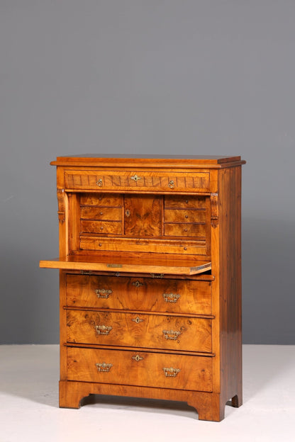 Wunderschöner Gründerzeit Sekretär Vertiko Highboard Louis Philippe Kommode um 1880