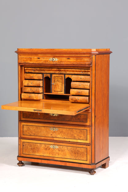 Stilvoller Gründerzeit Sekretär Vertiko Highboard Jugendstil Kommode Schrank um 1900