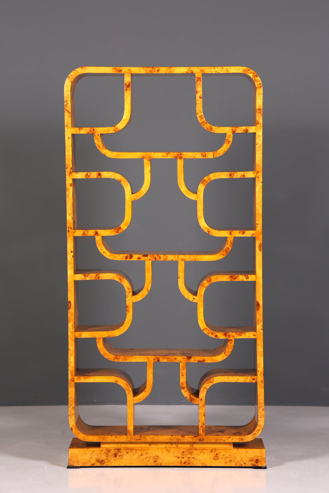 Beeindruckendes Ludvik Volak Stil Bücherregal Birke Art Deco Stil Luxus Möbel Kult Bibliothek Raumteiler