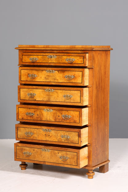 Edles Gründerzeit Vertiko Jugendstil Schrank Antik Highboard Kommode Schubladenkommode