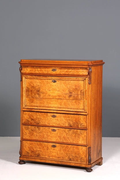 Wunderschöner Louis Philippe Sekretär um 1880 Gründerzeit Antik Schrank Chiffoniere