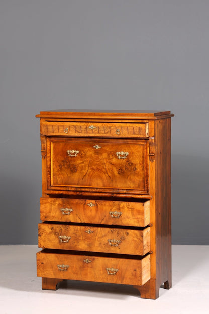 Wunderschöner Gründerzeit Sekretär Vertiko Highboard Louis Philippe Kommode um 1880