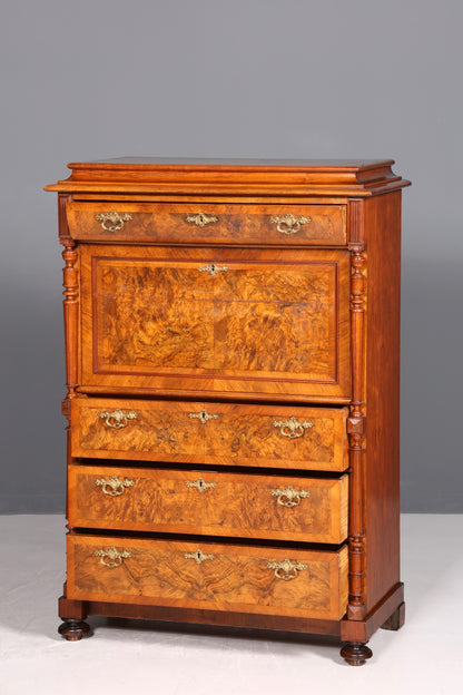 Wunderschöner Gründerzeit Sekretär Vertiko Highboard Louis Philippe Kommode um 1880