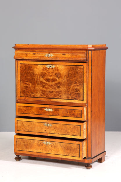 Stilvoller Gründerzeit Sekretär Vertiko Highboard Jugendstil Kommode Schrank um 1900