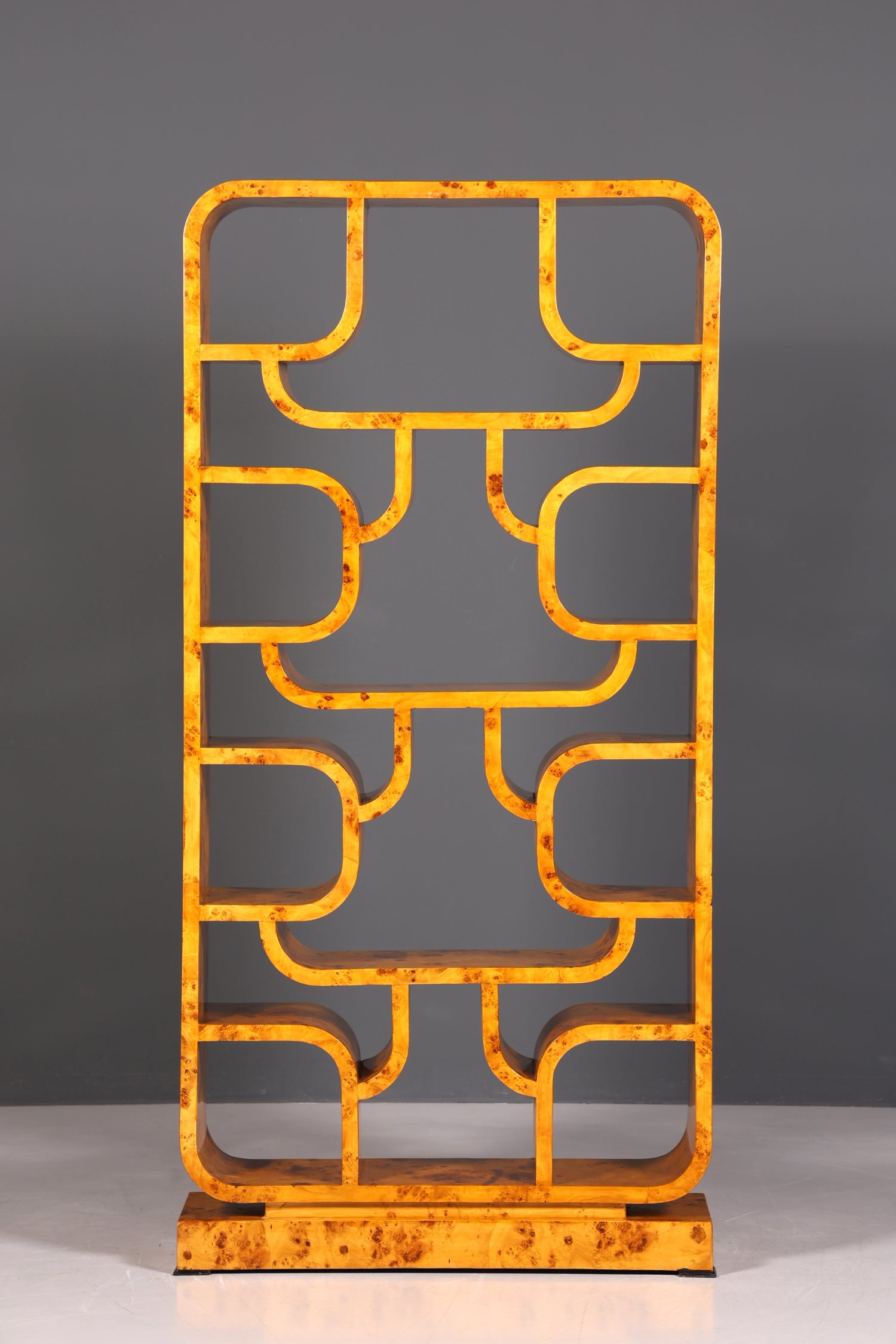 Beeindruckendes Ludvik Volak Stil Bücherregal Birke Art Deco Stil Luxus Möbel Kult Bibliothek Raumteiler