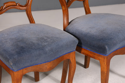 4x Traumhafte Louis Philippe Stühle um 1880 Biedermeier Stuhl Set Antik Sekretär Stühle