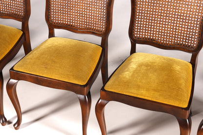 6x Wunderschöne Chippendale Stühle Barock Stil Stuhlset Polsterstuhl Set Küchenstühle Esszimmer Stühle