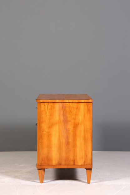 Wunderschöne Biedermeier Kommode Antik Schrank Schubladenkommode Wäschekommode