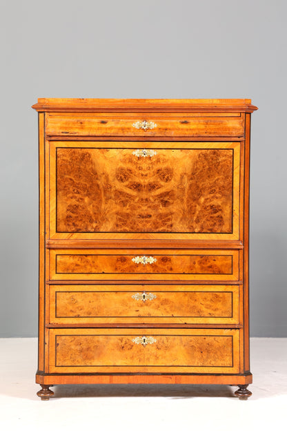 Stilvoller Gründerzeit Sekretär Vertiko Highboard Jugendstil Kommode Schrank um 1900