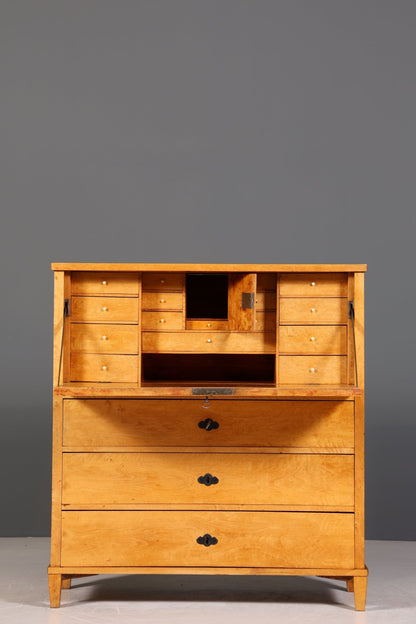 Wunderschöner Original Biedermeier Sekretär um 1860 Kommode Antik Bürokommode